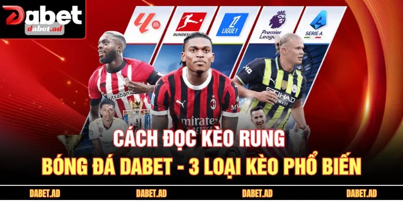 Cách đọc kèo rung bóng đá